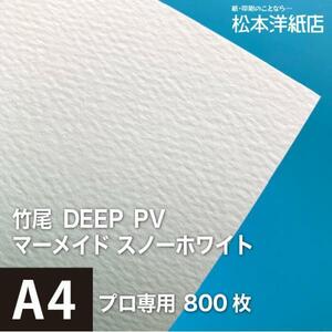 竹尾 DEEP PV マーメイド スノーホワイト A4サイズ：800枚 竹尾 紙 絵画紙 水彩紙 印刷紙 写真印刷用紙 インクジェット用紙