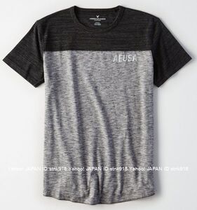 〓ラスト!! アメリカンイーグル/US XL/AE Reflective Graphic Tシャツ/Smokey Cinders