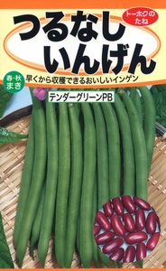 つる無しインゲン テンダーグリーンＰＢ 種子 野菜のたね 家庭園芸