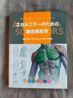 スカルプターのための美術解剖学