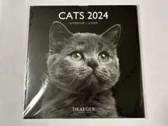 DRAEGER PARIS ネコ CATS 2024 カレンダーねこ 猫 AE