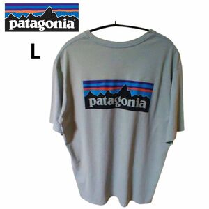 patagonia パタゴニア　半袖Ｔシャツ　ポケットTシャツ カットソー　メンズ　L