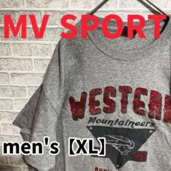 F1935【MV SPORT】コットン半袖Tシャツ【XL】グレー