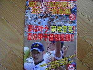 群馬の高校野球2013総集編-第95回全国高等学校野球選手権記念群馬大会総集編-　●高校野球　●Ａ