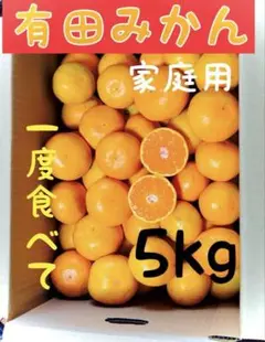 有田みかん　5kg 家庭用　ミックスサイズ　甘い！　温州みかん