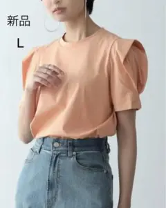 シルケットパワショルデザインカットソーTシャツ　オレンジ　L