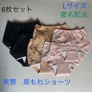 6枚組 Lサイズ 尿漏れパンツ 20cc 失禁ショーツ 軽失禁 安心ショーツ 女性用 失禁パンツ レディース 婦人用