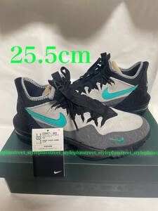 ATMOS × NIKE LEBRON 16 LOW AC CLEAR JADE 25.5cm US7.5 アトモス ナイキ レブロン ジェイド XVI CD9471-003