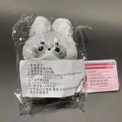 エスクプス　ぬいぐるみ　10cm 新品　マスター　セブチ　svt