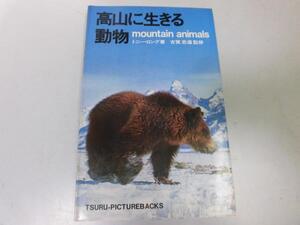 ●P754●高山に生きる動物●トニーロング石田毅●動物生態●アニマルライフシリーズ●即決