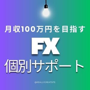 FXで月収100万円を目指す　個別サポート-6