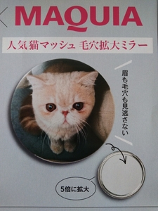 即決★人気猫マッシュ 毛穴拡大ミラー★５倍に拡大 眉も毛穴も見逃さない♪ 付録★送120～