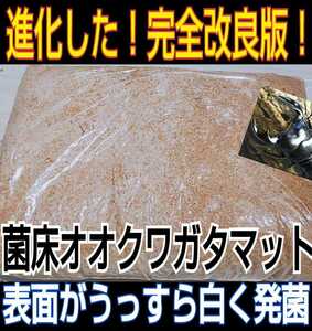 【改良版】オオクワ、ヒラタ、虹色に！活きた菌糸マットを発送！甘い良い香りがします☆ひらたけ菌床粉砕クワガタマット☆瓶に詰めだけでOK