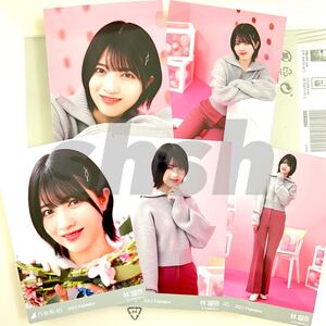 《乃木坂46》公式グッズ 生写真 林瑠奈　5枚コンプ 2023 バレンタイン VALENTINE ピンク ヨリチュウヒキ座り座りヨリ 5種コンプ