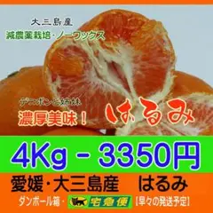 限定商品・はるみ4Kg　ハンチの効いた味で濃厚美味