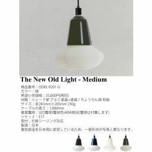 CFK94b 展示品 kimu design studio The New Old Light ニューオールドライト Medium 緑 ODKL-0201-G キムデザインスタジオ カッシーナ取扱