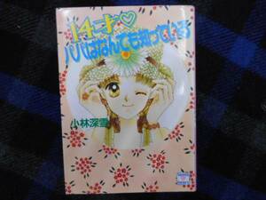 14才　パパはなんでも知っている　小林深雪　講談社文庫　タカ68