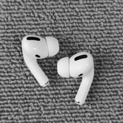 Apple AirPods Pro 両耳のみ LR 251