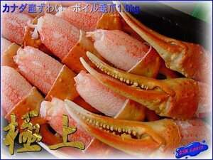 特大サイズ「ずわい蟹親爪3L-1kg」A級品カナダ産 ASKsanin