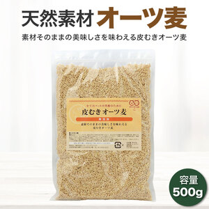 皮むき オーツ麦 500g インコ 鳥 餌 えさ エサ おやつ 鳥の餌 オート麦 殻無し 殻むき