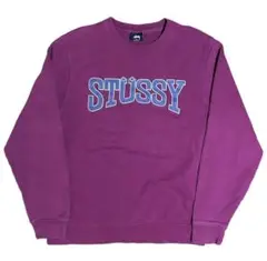 【レア】stussy ステューシー センターロゴ ビッグロゴ スウェット 裏起毛