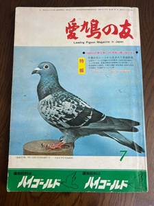 【愛鳩の友/1974年7月号】