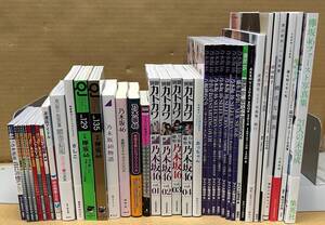 AKB48・乃木坂46・欅坂46　写真集、関連本などいろいろまとめて38冊セット