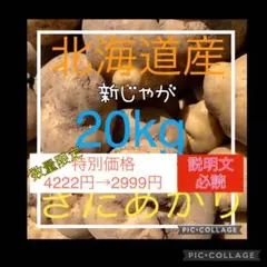 北海道産キタアカリ20kg