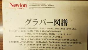 Newton ニュートン 　昭和58年4月号付録　グラバー図譜　教育社　壁掛け用ポスター