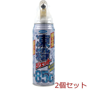 フマキラー 凍殺ジェット 300mL 2個セット