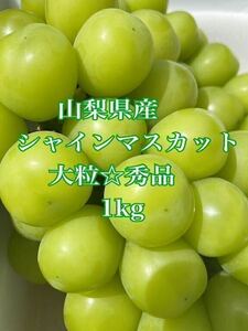 大粒　朝採り　直送　シャインマスカット　山梨県産　ぶどう　1kg粒　