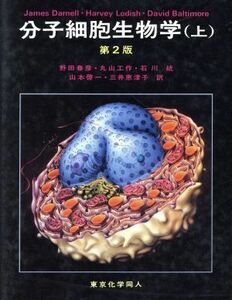 分子細胞生物学　第２版(上)／ＪａｍｅｓＤａｒｎｅｌｌ，ＨａｒｖｅｙＬｏｄｉｓｈ，ＤａｖｉｄＢａｌｔｉｍｏｒｅ【著】，野田春彦，丸山