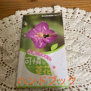 古本　即決　送料無料♪ハンドブック　ガイドブック　可憐な草花