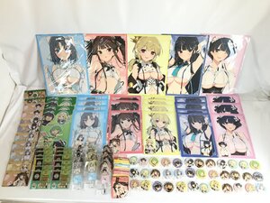 【ジャンク品】閃乱カグラ 爆乳ハイパーWEBくじ 6パイ目 グッズ セット アクスタ 缶バッジ クリアファイル ドアプレート 他 中古 wa◇66