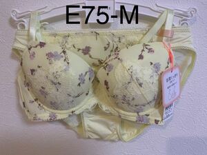 4372トリンプ AMO`SSTYLEブラジャーE75＆ショーツMセット