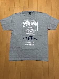 stussy マウンテンTシャツ Lサイズ 新品未使用品 タグ付き グレー