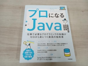 【初版】 2 プロになるJava きしだなおき