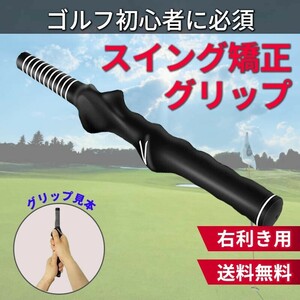 ゴルフ アクセサリー 小物 トレーナー 用品 スイングトレーナー 矯正 スイング練習器具 グリップゴルフ レディース コンセプト アイアン