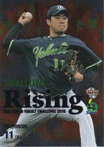 BBM 2018 東京ヤクルトスワローズ 由規 SR1 Swallows RISING