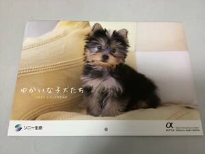 ソニー生命　ゆかいな子犬たち　2025年カレンダー　壁掛けタイプ