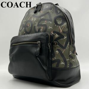 【ハワイ限定/美品】COACH コーチ メンズ 希少色 リュック バックパック ショルダー ビジネス シボ革 レザー グリーン 緑色