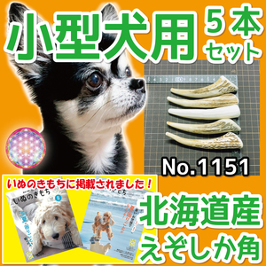 ■ 小型犬用 ■ 5本セット ■ 天然 無添加 北海道産 蝦夷鹿の角 ■ 犬のおもちゃ ■ 鹿角 エゾシカ ツノ 鹿の角 犬 11511