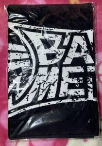 新品未開封 BABYMETAL WORLD TOUR 2023-2024 LEGEND-MM NEW CRUSH LOGO TOWEL クラシュロゴ タオル ベビーメタル