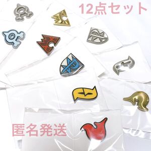 ポケモン ポケットモンスター ピンズコレクション シークレットチーム ピンズ ピンバッジ ピンバッチ バッチ バッジ ロケット団 コスプレ