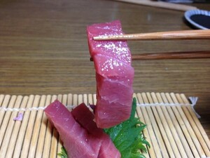 送料無料☆完全養殖本マグロ！　中とろ400g!!口の中に広がる濃厚な旨味☆　次世代のマグロ　　