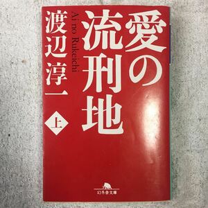 愛の流刑地〈上〉 (幻冬舎文庫) 渡辺 淳一 9784344410046