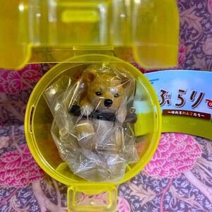 ぶらぶらりーず　ゆれるわんこたち　ぶらりーず　しばいぬ　　ガチャ　カプセルトイ　ガチャガチャ