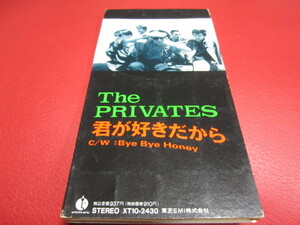 THE PRIVATES / 君が好きだから ★ザ・プライベーツ