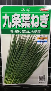 ３袋セット 九条 葉ねぎ ハ ネギ 種 郵便は送料無料