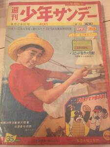 少年サンデー　雑誌